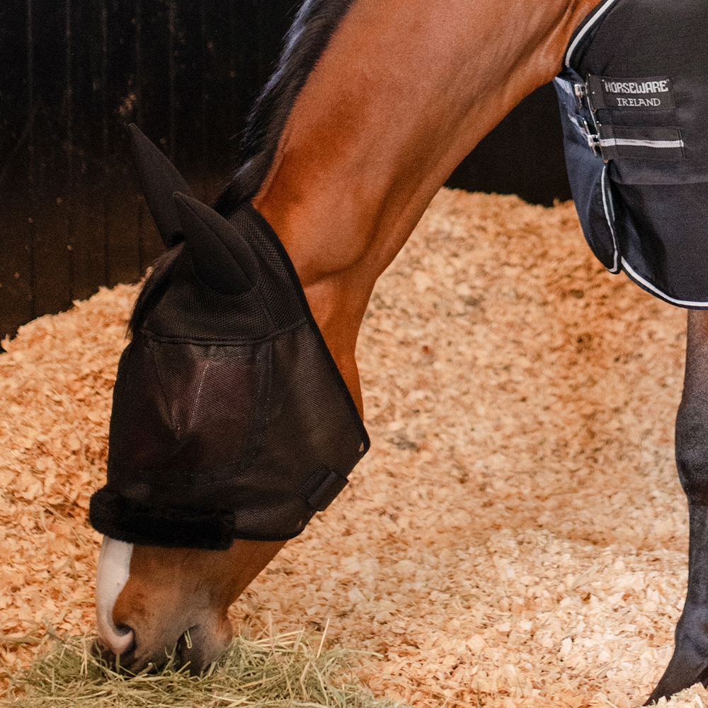 A rider adjusts the saddle on a horse inside a stable