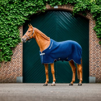 Horseware Autumn Cooler