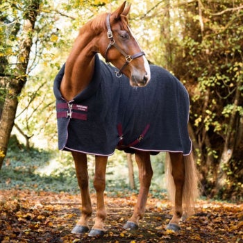 Horseware Embossed Cosy Neck Cooler