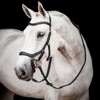 Micklem 2 Competition Bridle