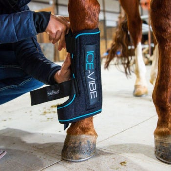 Ice Vibe Therapeutic Horse Boots