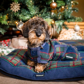 Horseware Holiday Dog Fleece Rug and Bed
