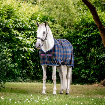 Rhino Christmas Fleece Cooler