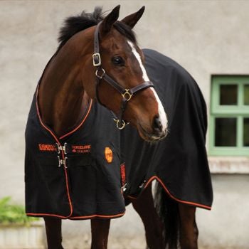 horse with blanket