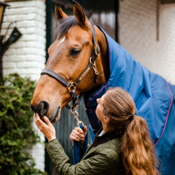 A horse in a blanket being guided by a woman