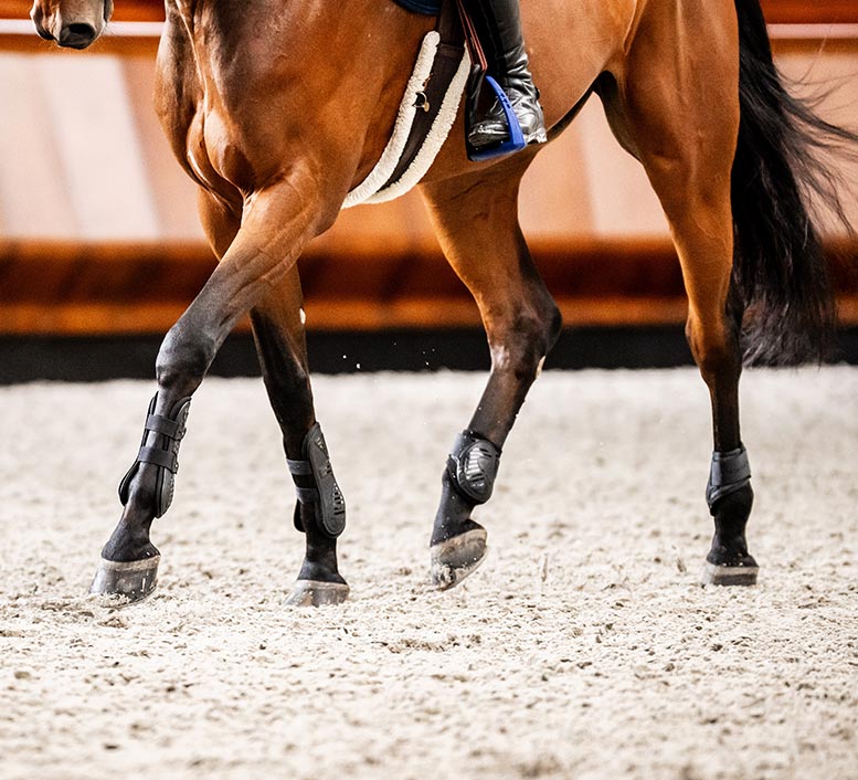 A happy rider sitting on a bench holding their horse's muzzle