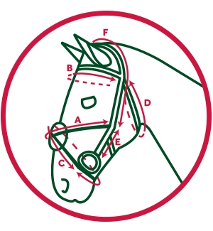 Figure 8 Grackle Bridle