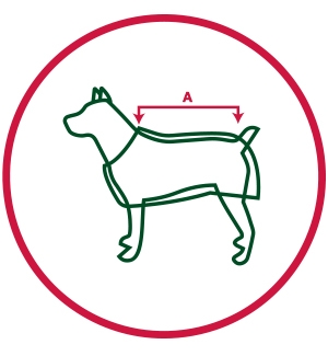 Pet Coat