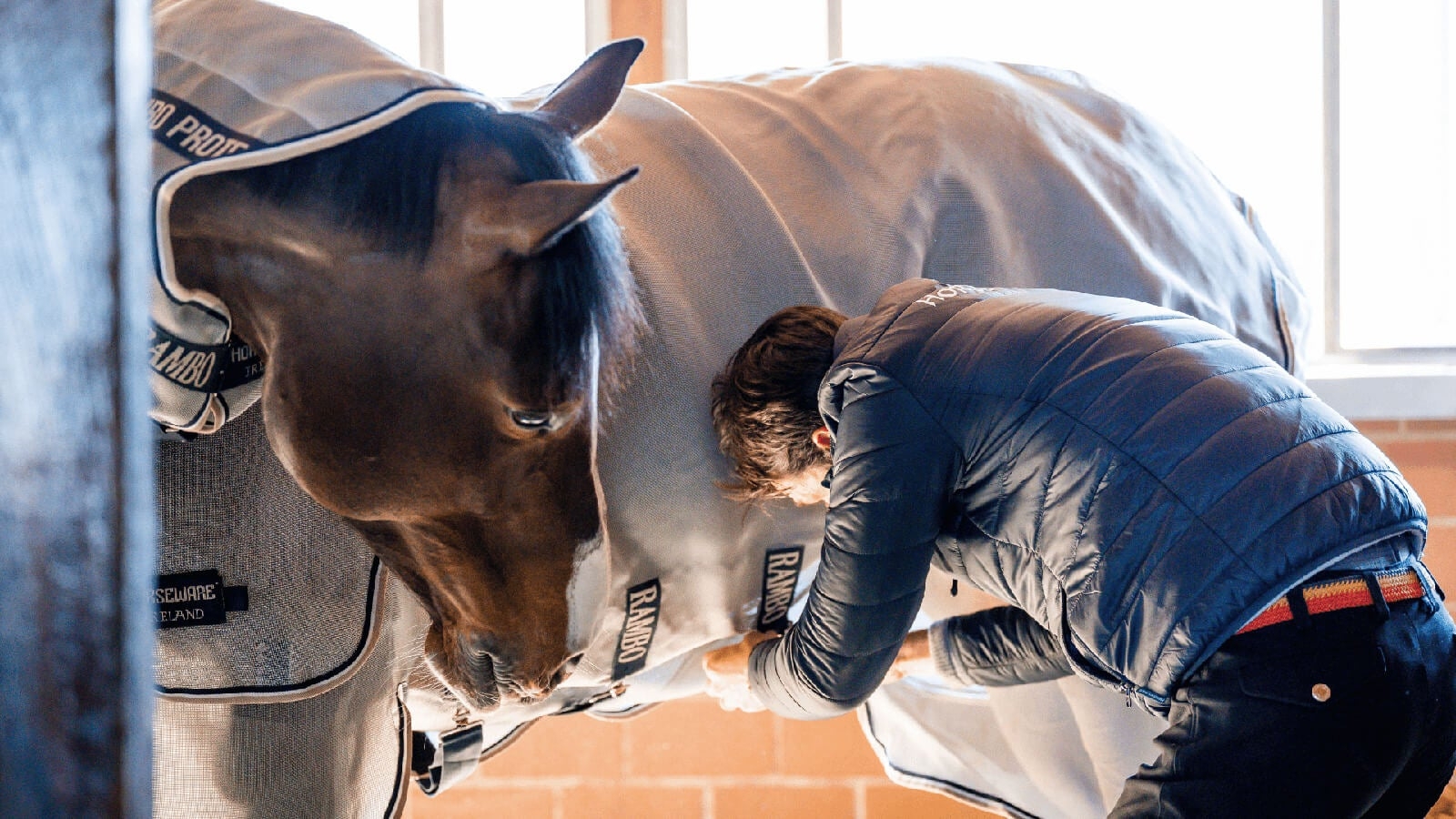 Summer Horseware Capsule Wardrobe
