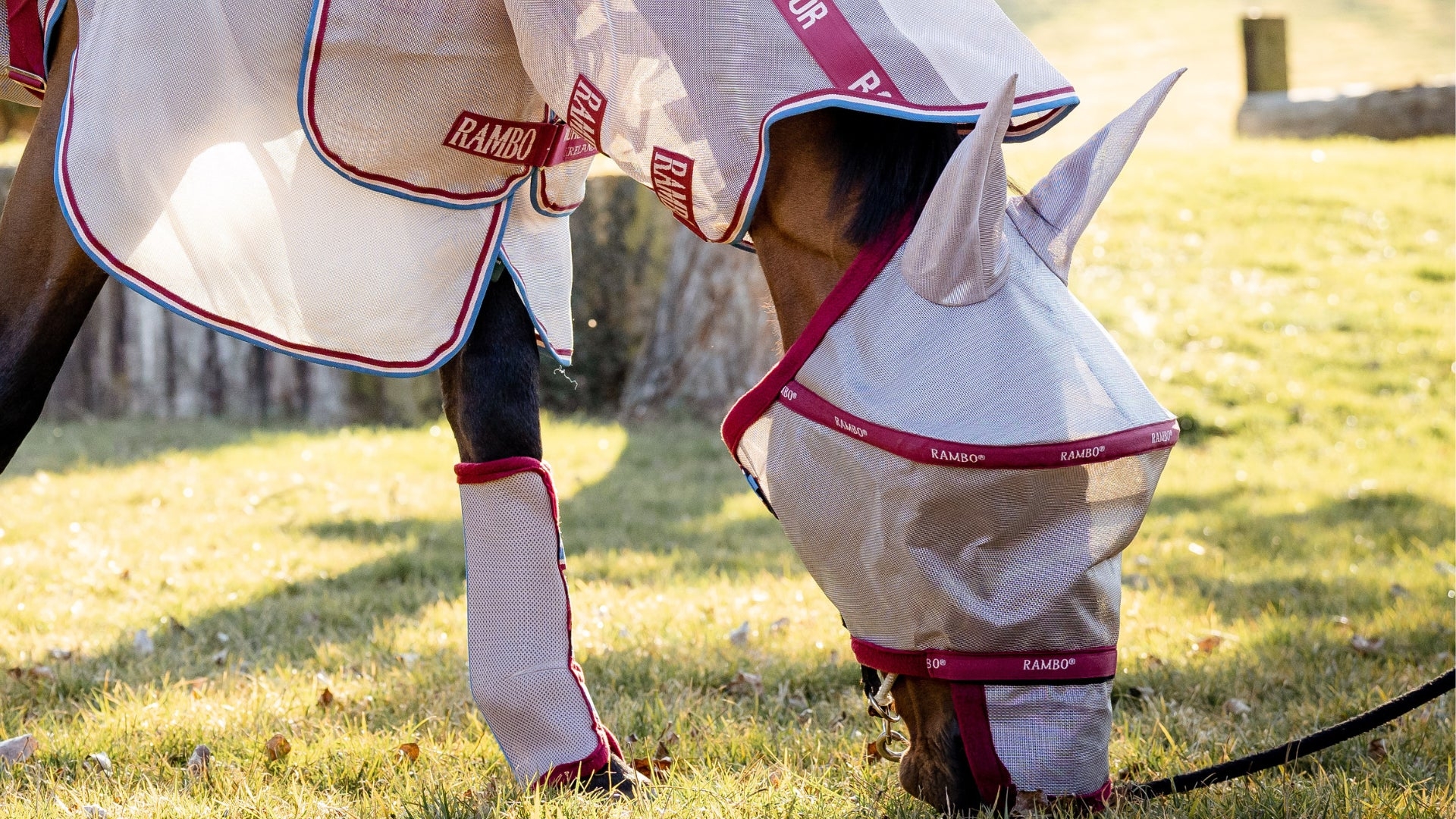 A Holistic Approach to Fly Control for Horses Top Tips & Tricks