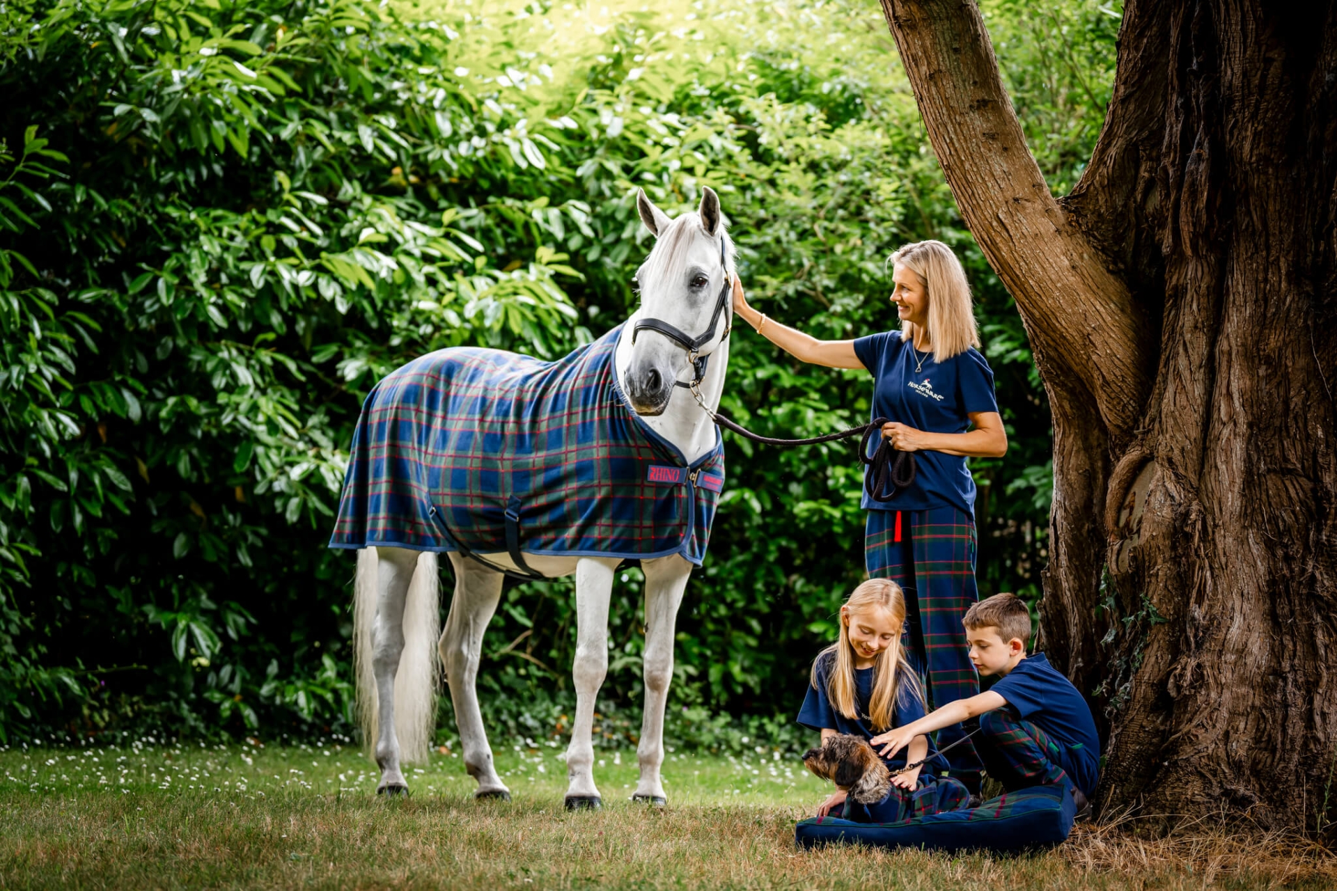 Top Gift Ideas for Horse Lovers
