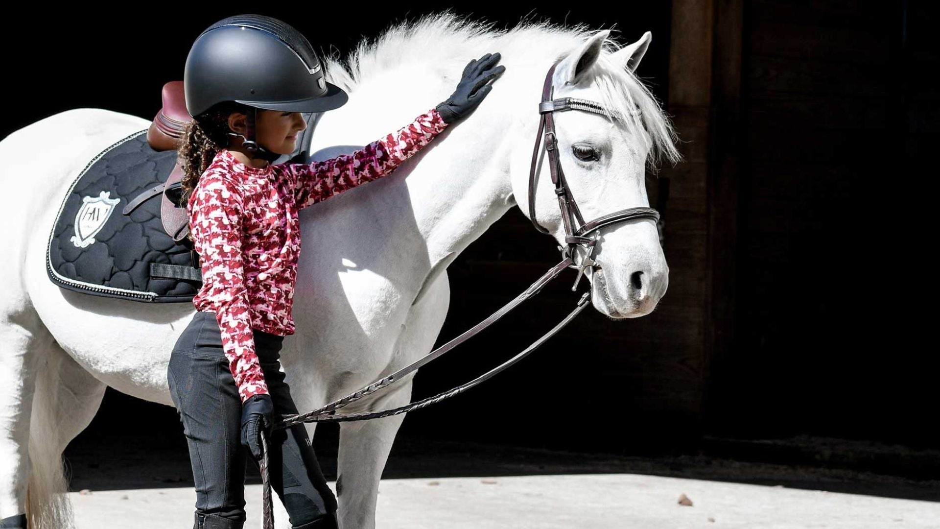 How We Bought Our First Pony