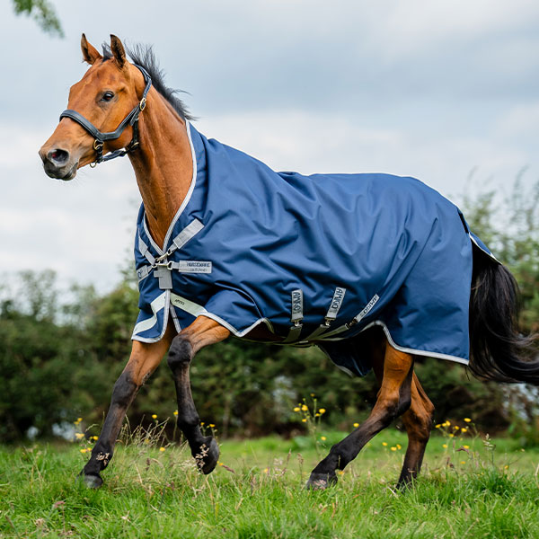 Turnout Blankets