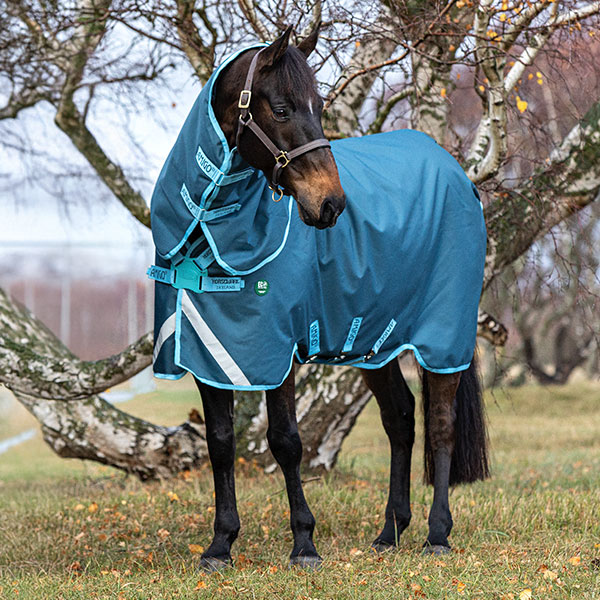 Turnout Rugs