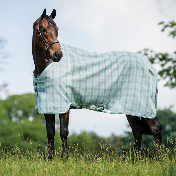 Fly Sheets