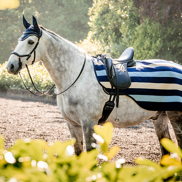 Exercise Rugs & Sheets