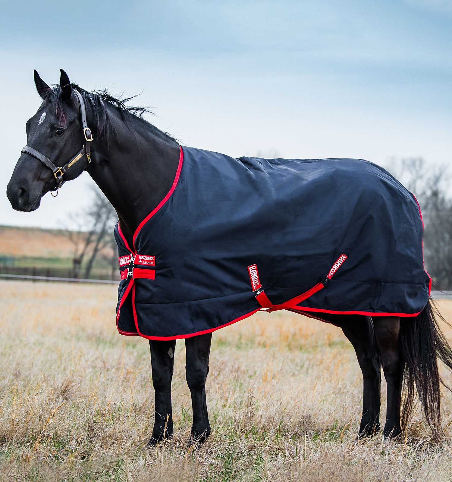 Rambo® Original Turnout 200g – Horseware Ireland - US