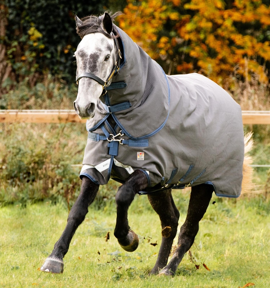 Rhino® Hexstop Plus Vari-Layer Turnout 250g – Horseware Ireland - US