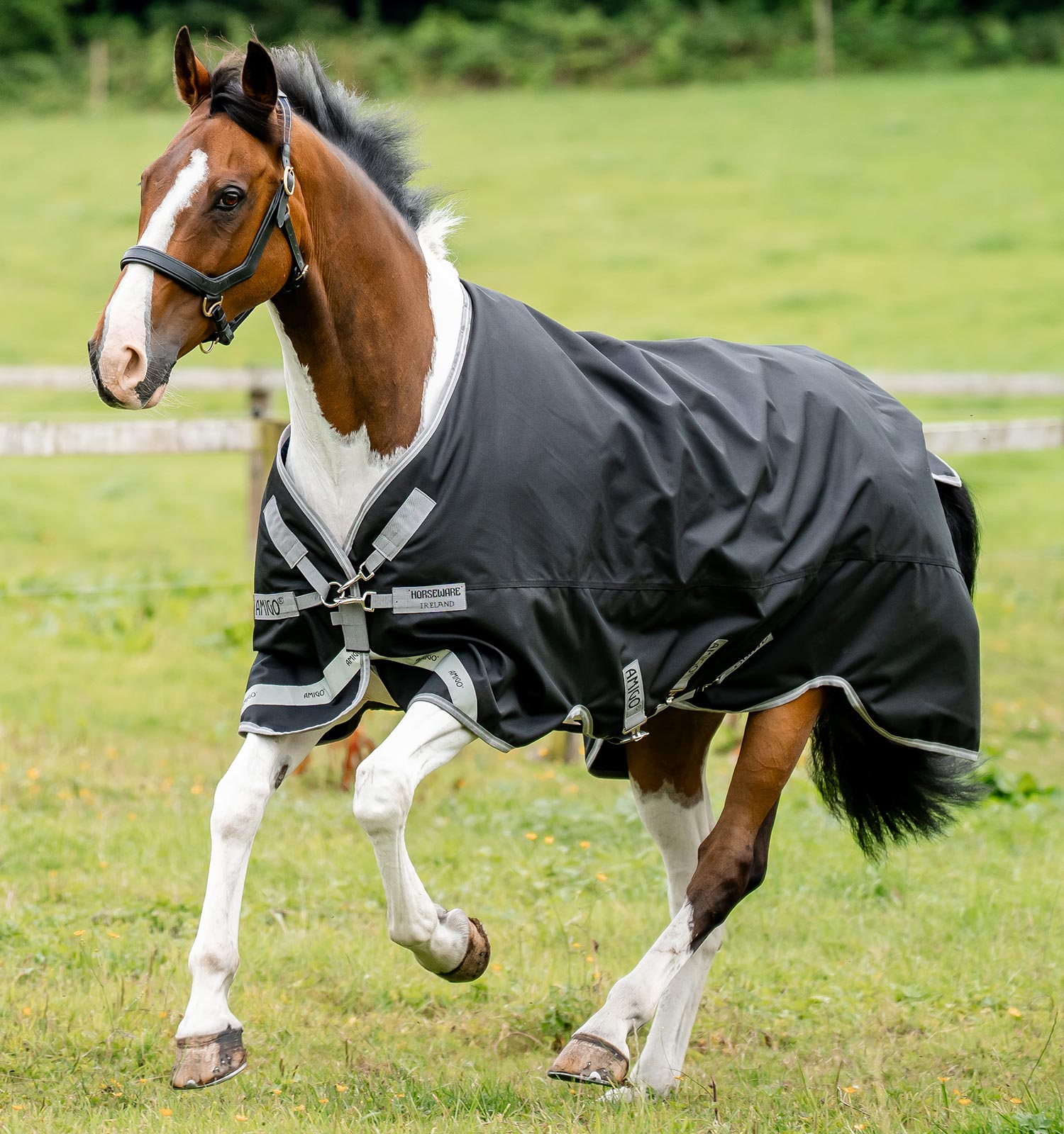 Amigo® Bravo 12 XL Turnout 0g – Horseware Ireland - US