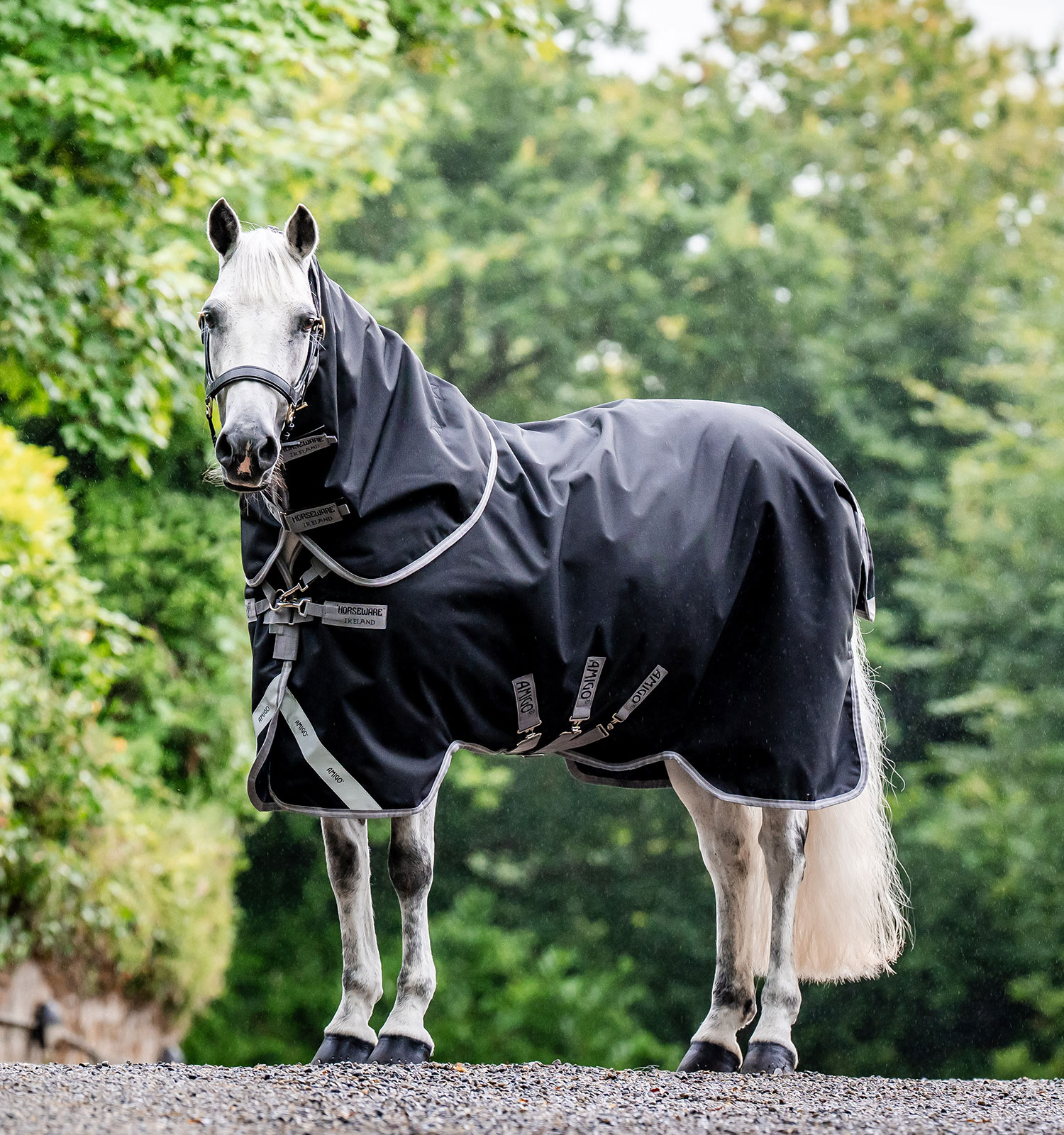 Amigo® 1200D Turnout Hood 0g – Horseware Ireland - US