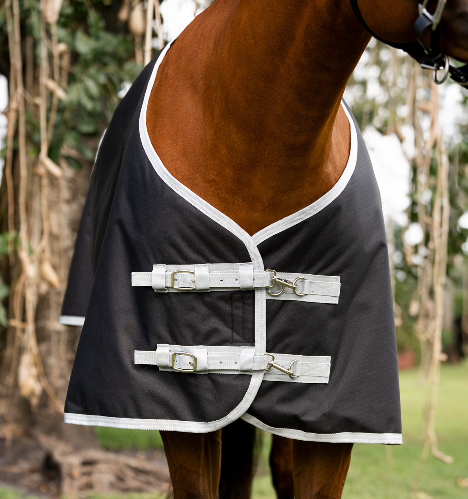 Amigo® Ripstop 900D Quarter Horse Plus Turnout 0g – Horseware