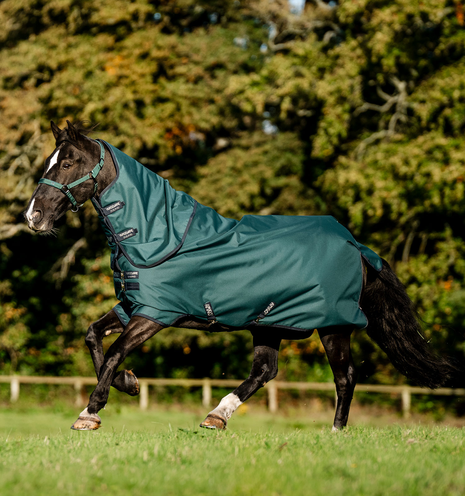Amigo® Ripstop 900D Plus Pony Turnout 0g – Horseware Ireland - US