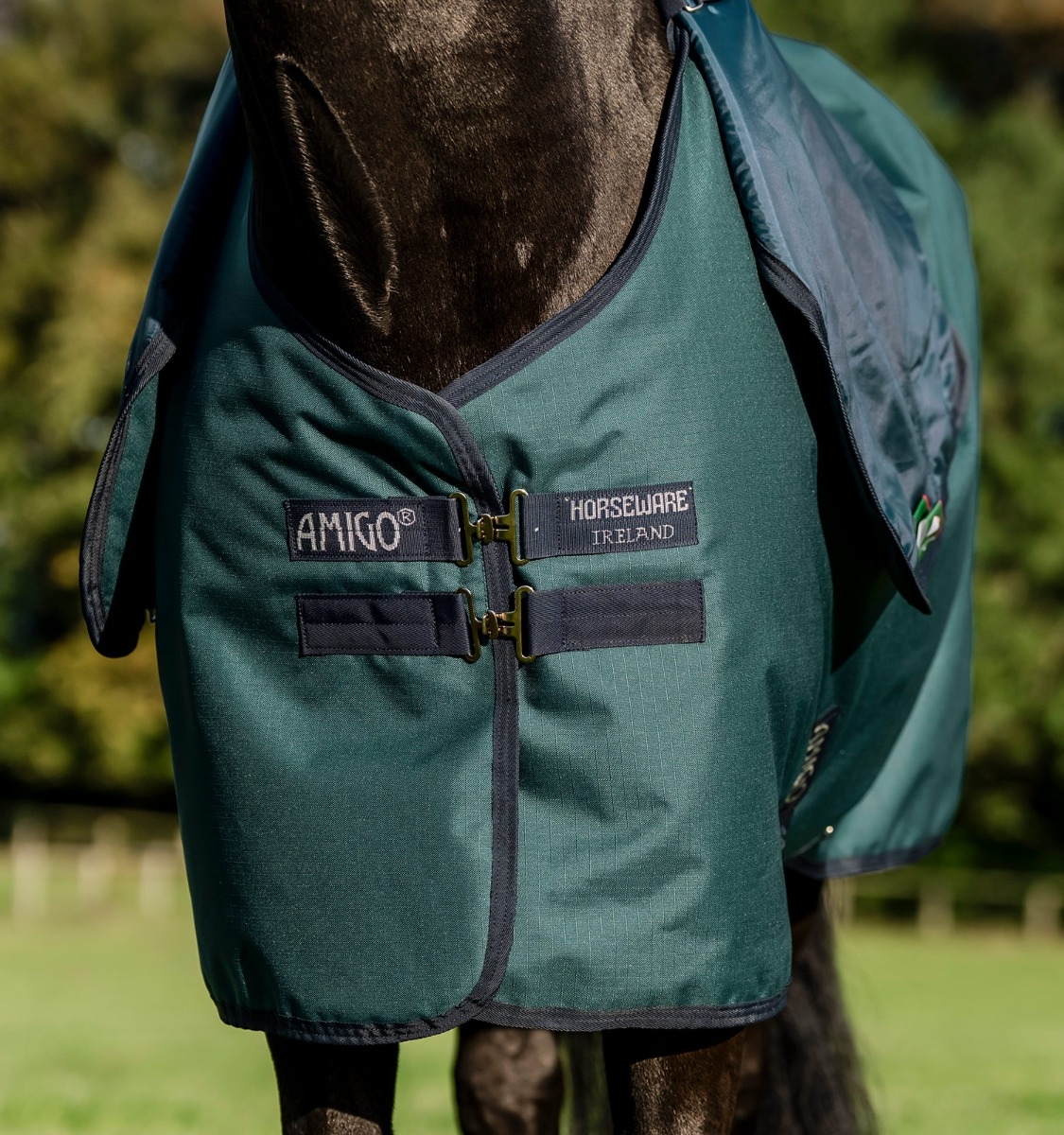 Amigo® Ripstop 900D Plus Pony Turnout 100g – Horseware Ireland - US