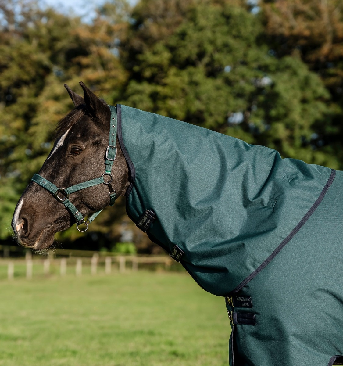 Amigo® Ripstop 900D Plus Pony Turnout 100g – Horseware Ireland - US