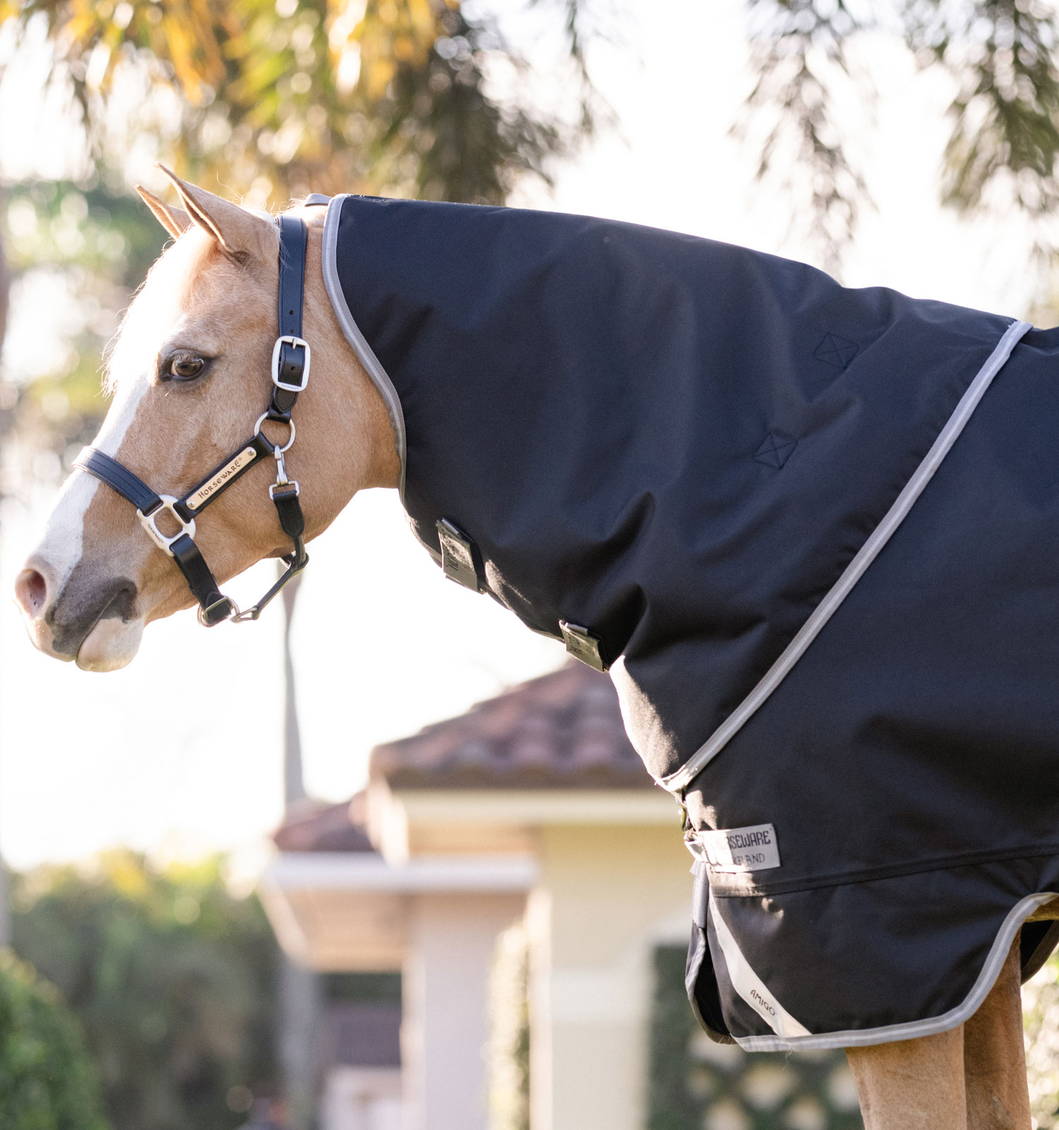 Amigo® 1200D Plus Pony Turnout 50g – Horseware Ireland - US