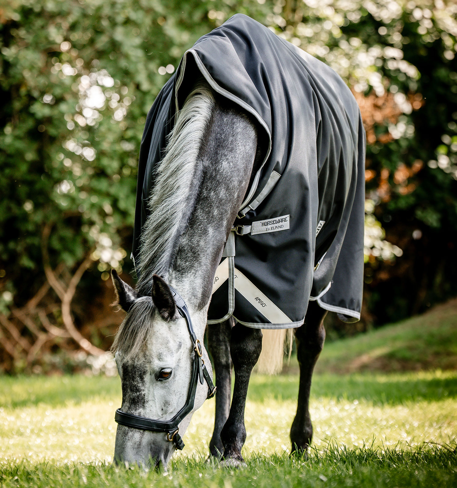 El Burritos skate Amigos セットアップ グレー　L&XL Amigo® Bravo 12 Wug Turnout 0g – Horseware Ireland - US