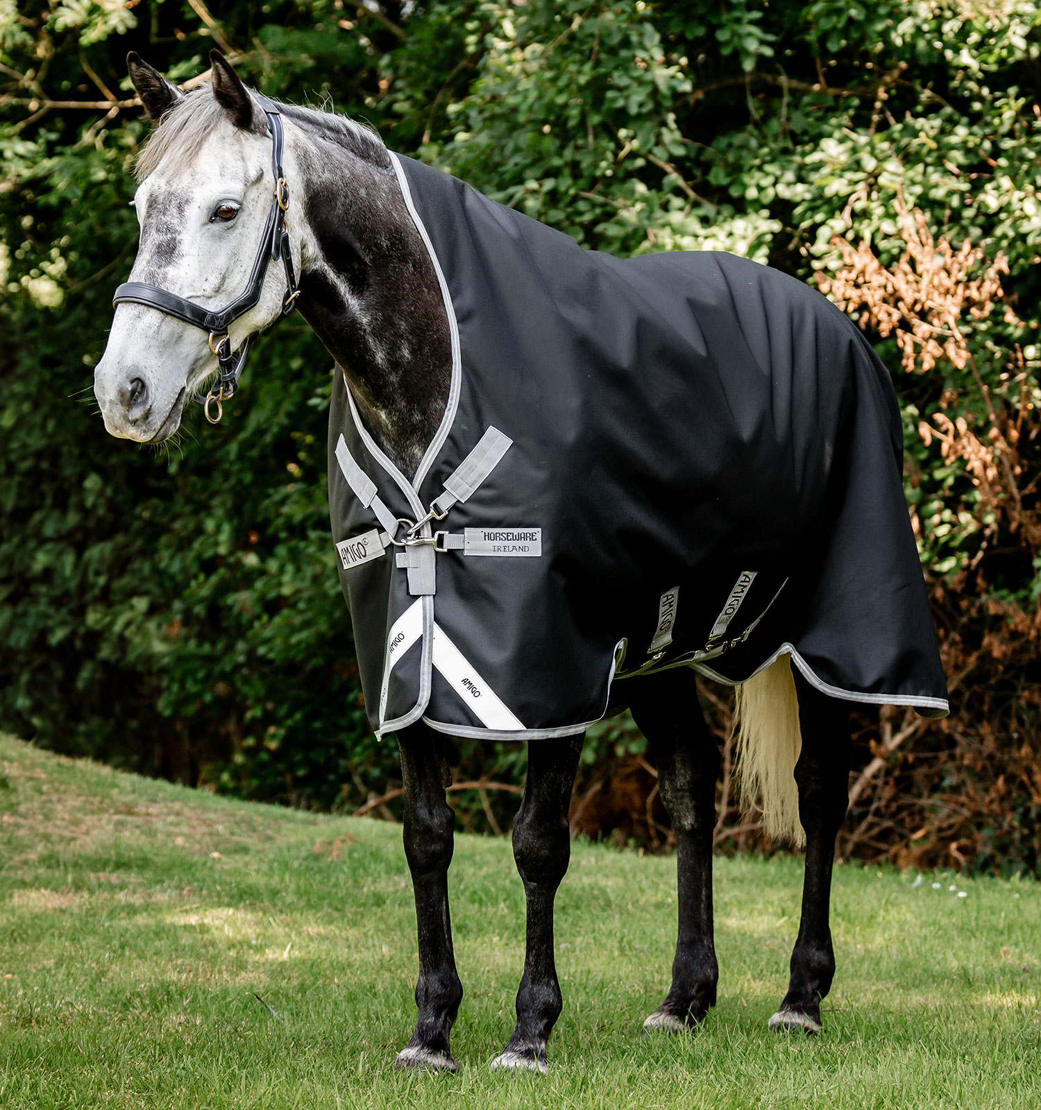 Amigo® Bravo 12 Wug Turnout 400g – Horseware Ireland - US