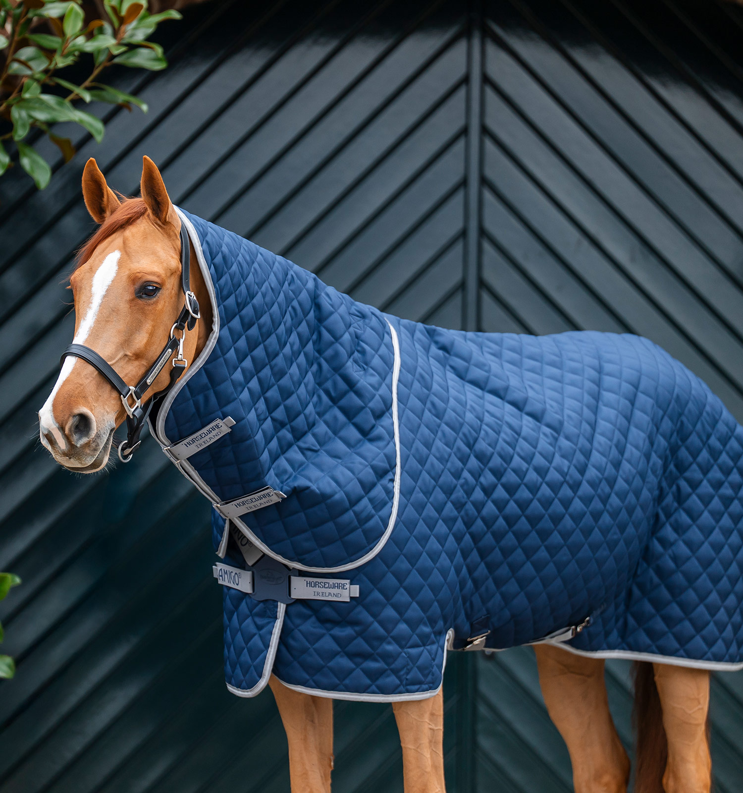 Amigo® Quilted Stable Plus 200g – Horseware Ireland - US