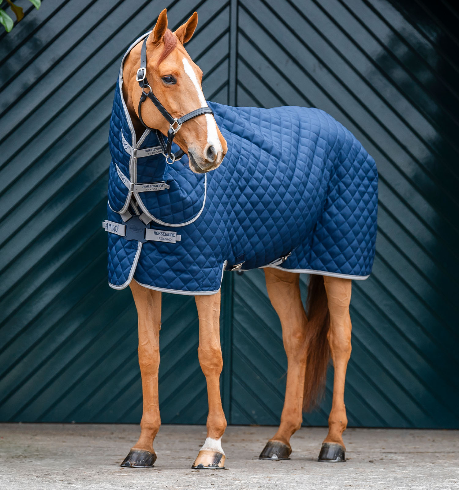 abrdt2-bji0-amigo-quilted-