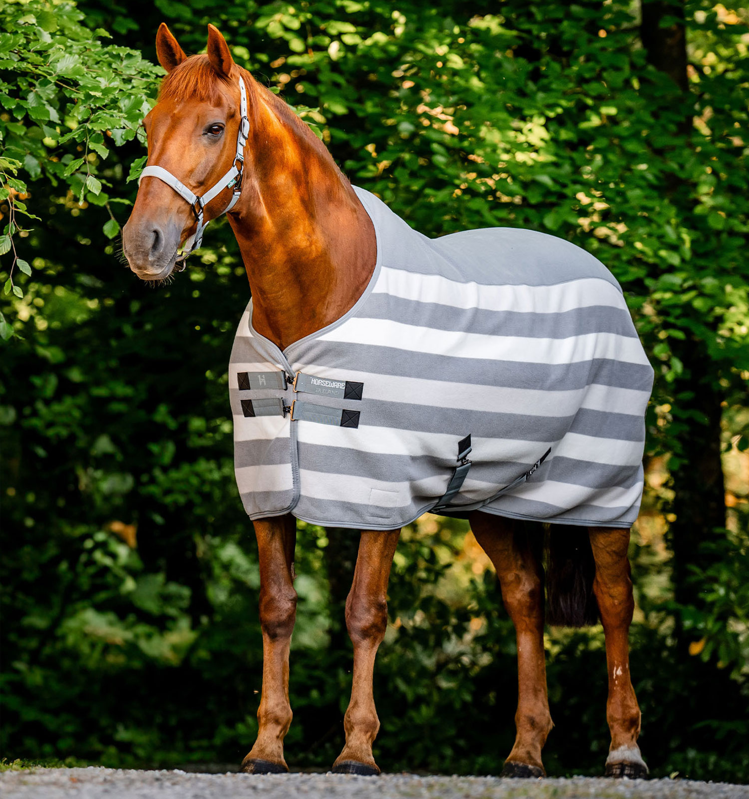achgbn-vrkj-horseware-