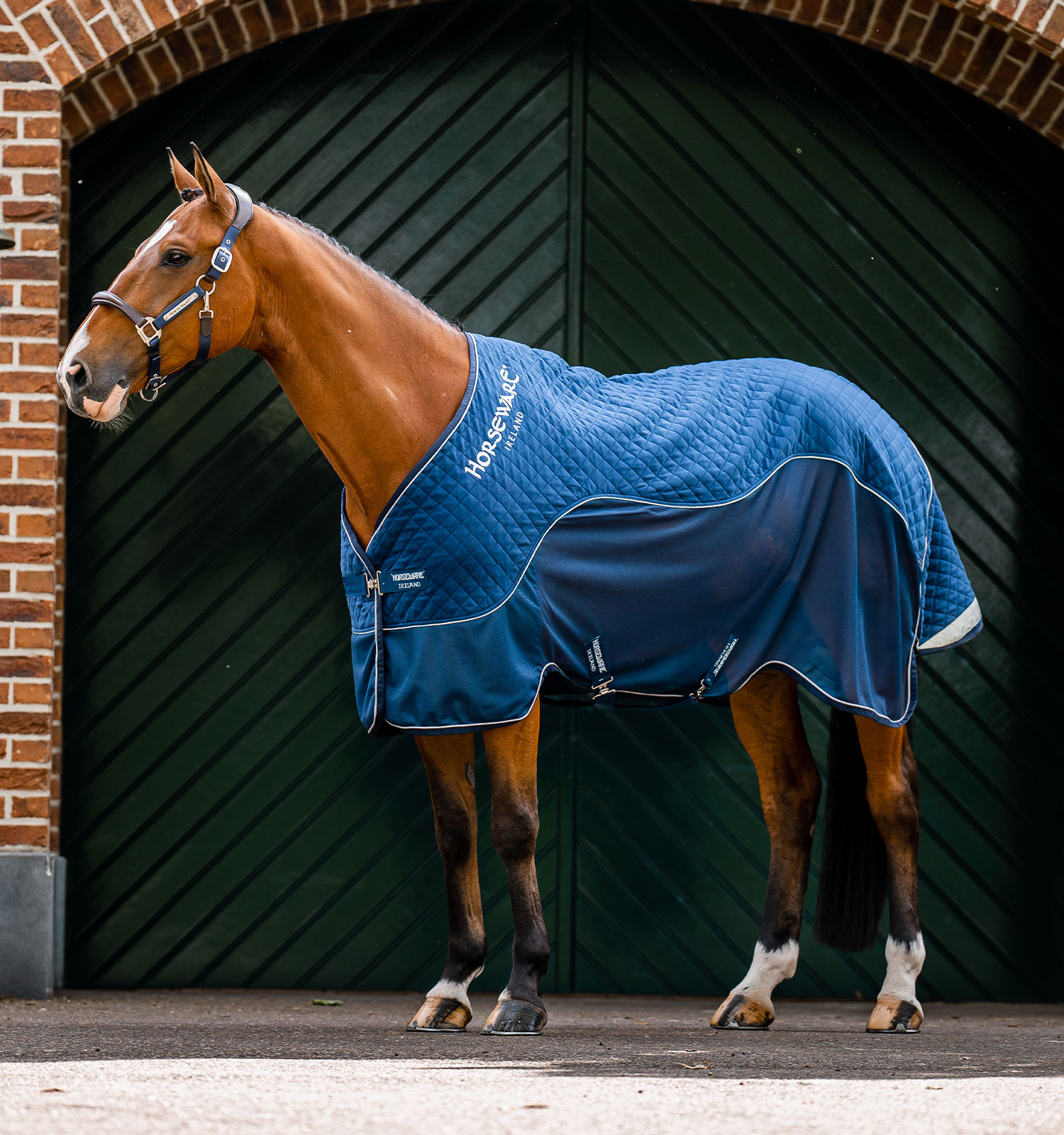 achgm2-b000-horseware-