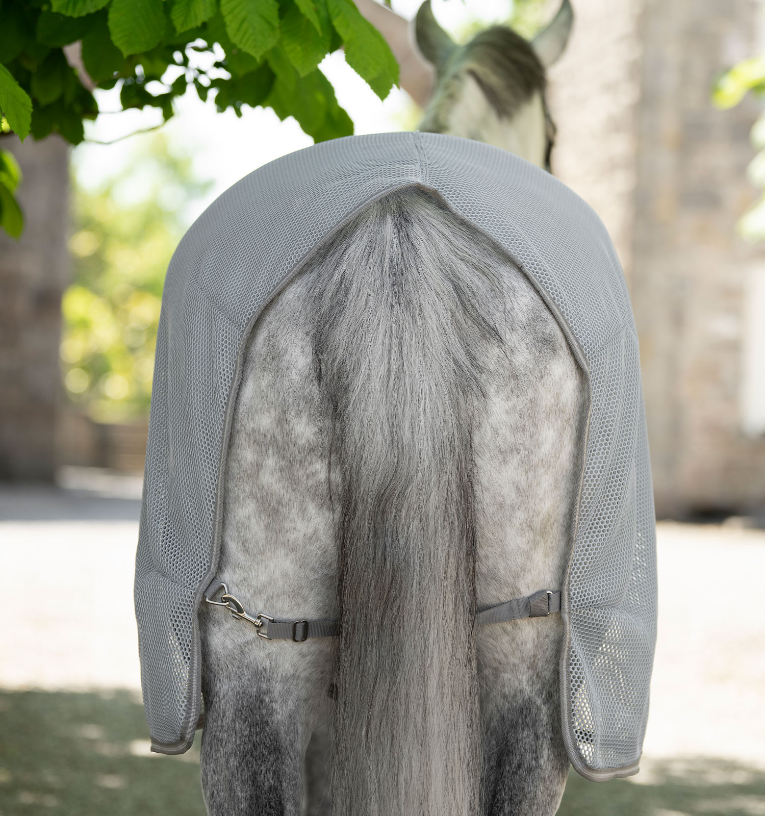 Amigo® AirNet Cooler – Horseware Ireland - US
