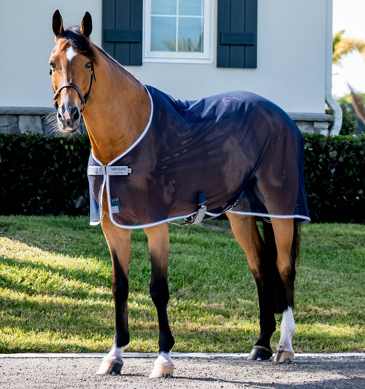 吉*な様 A.I.R. (Anti-Intruder Ranger) Amigo® Net Cooler – Horseware Ireland - US