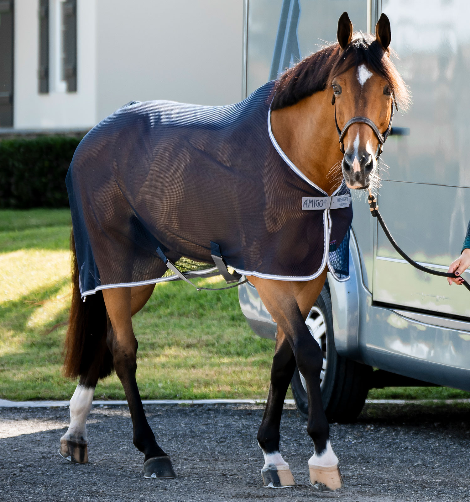 Amigo® Net Cooler – Horseware Ireland - US