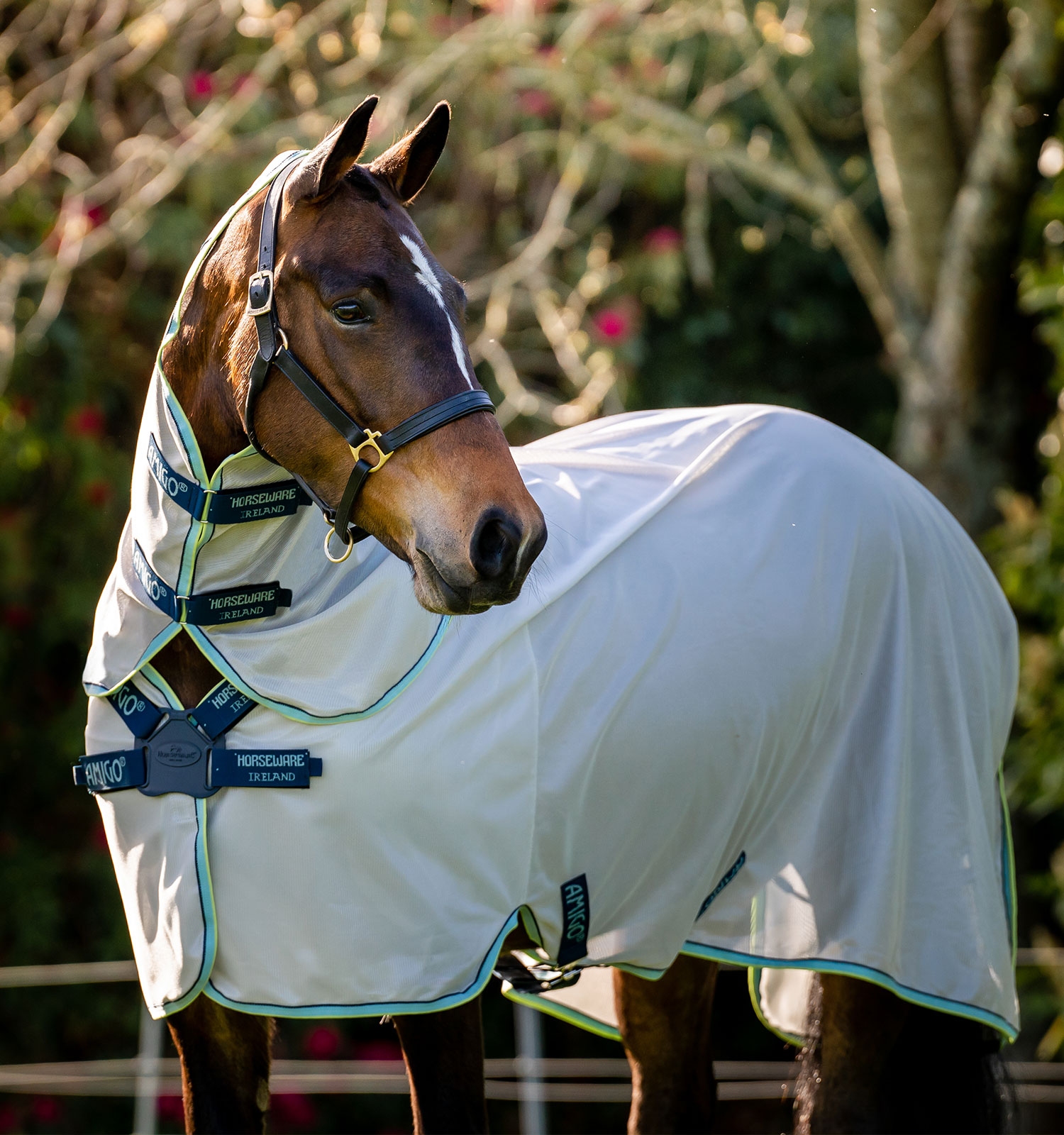 Amigo® XL Bug Rug Fly Sheet with Disc Front Closure 0g – Horseware
