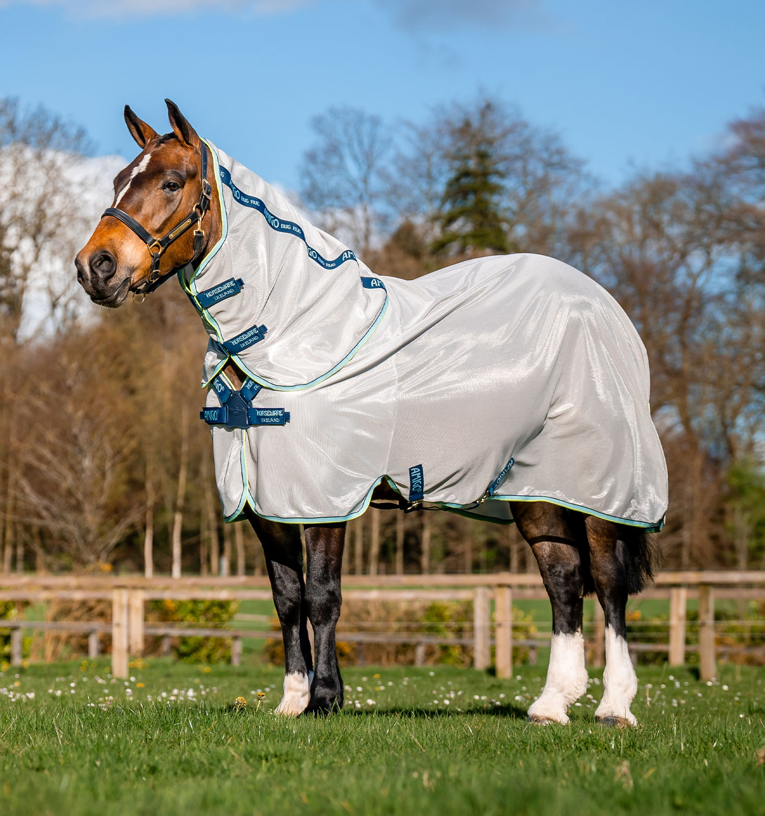 Amigo® XL Bug Rug Fly Sheet with Disc Front Closure 0g – Horseware