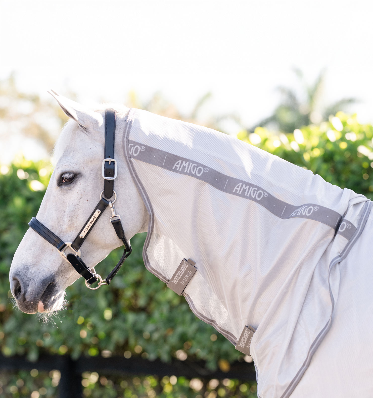 Amigo® Integrated Fly Sheet – Horseware Ireland - US