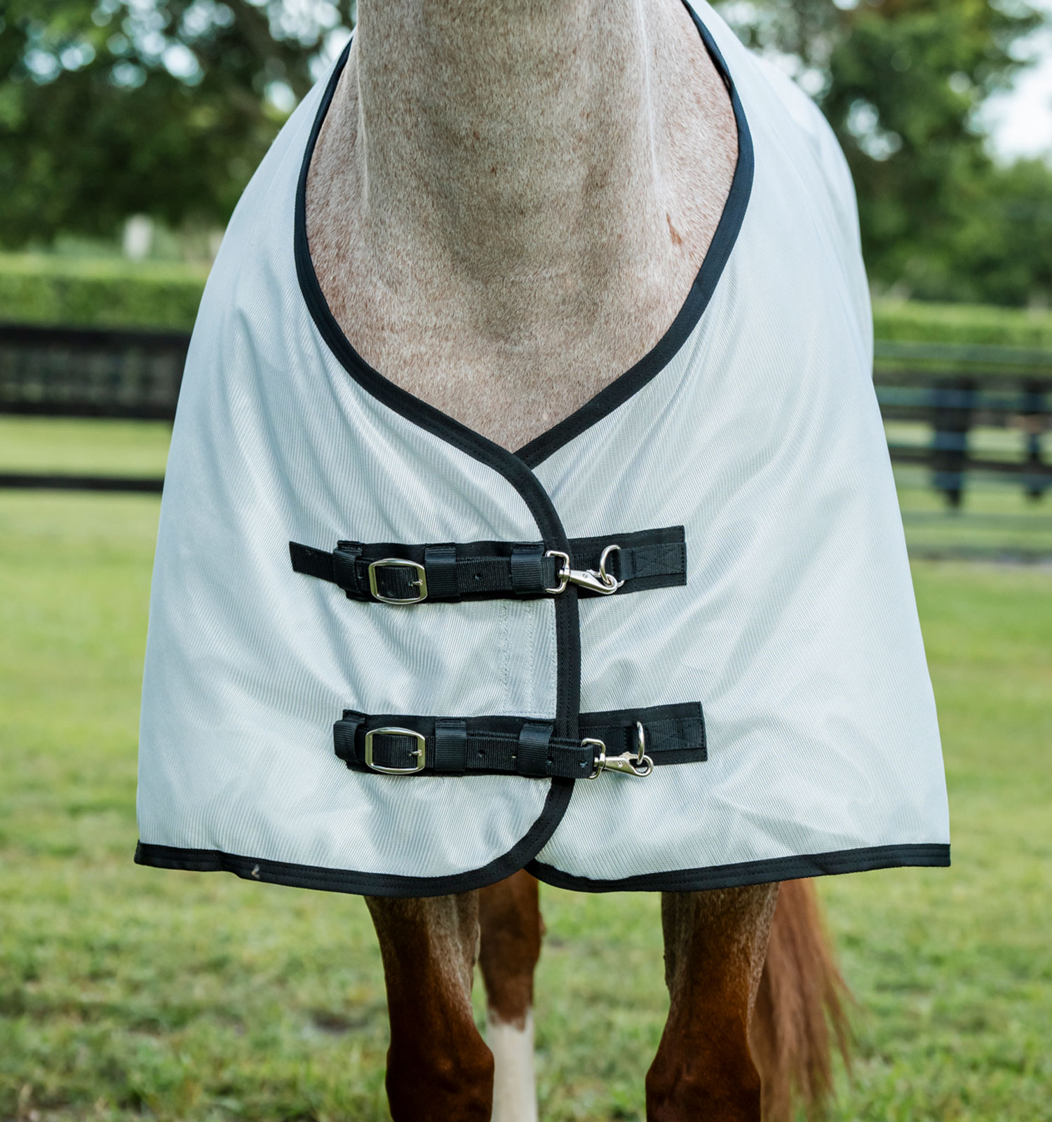 Amigo® Bug Rug Quarter Horse Plus Fly Sheet – Horseware Ireland - US