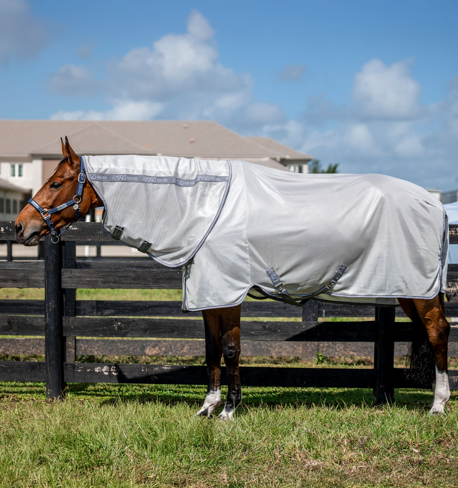 Amigo® Bug Rug XL Plus Fly Sheet – Horseware Ireland - US
