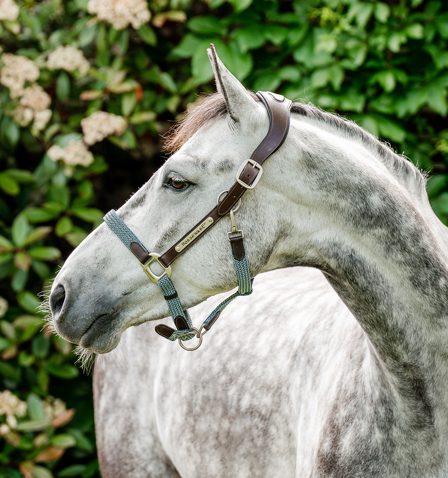 Horseware® Signature Braided Halter – Horseware Ireland - US
