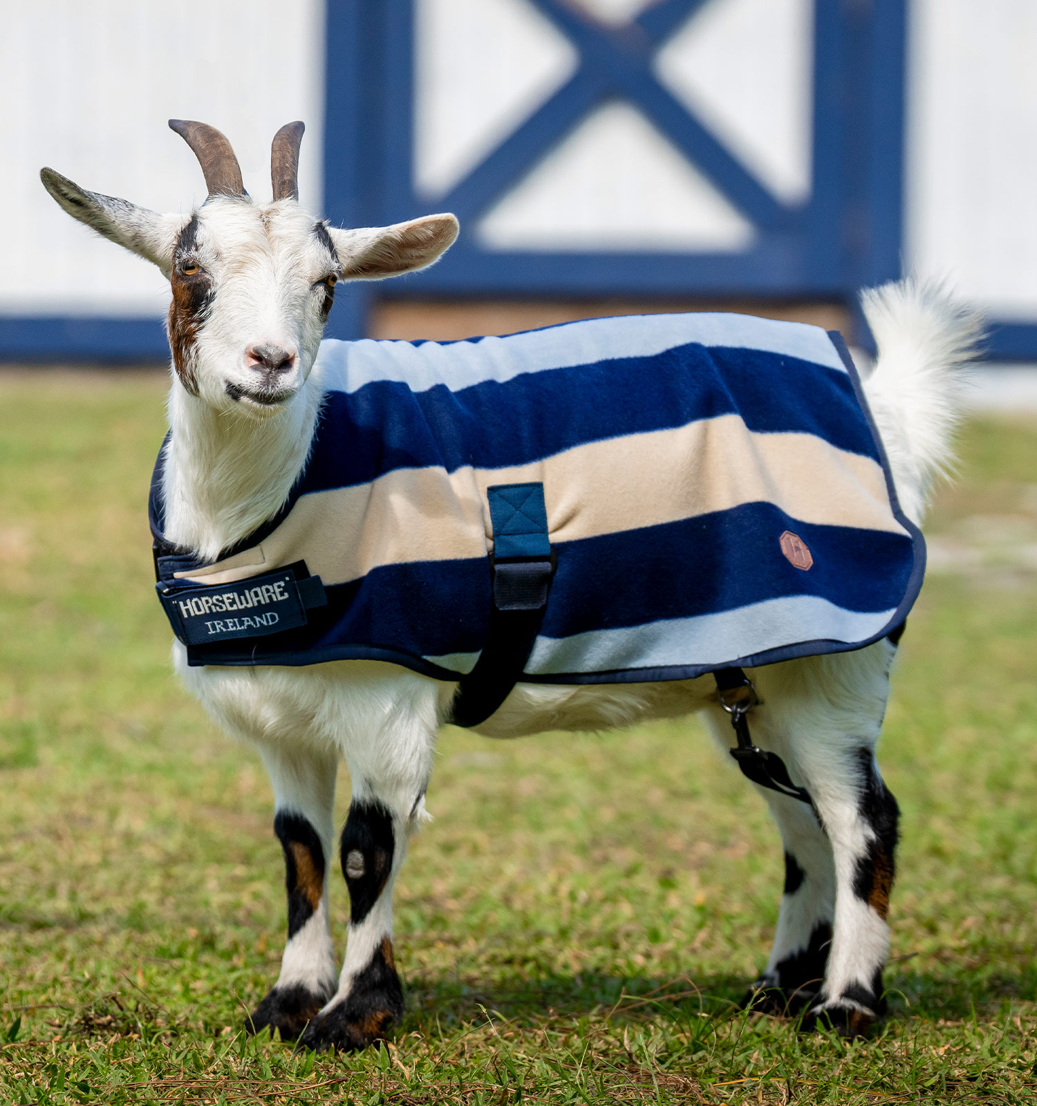 Horseware® Newmarket Goat Fleece – Horseware Ireland - US