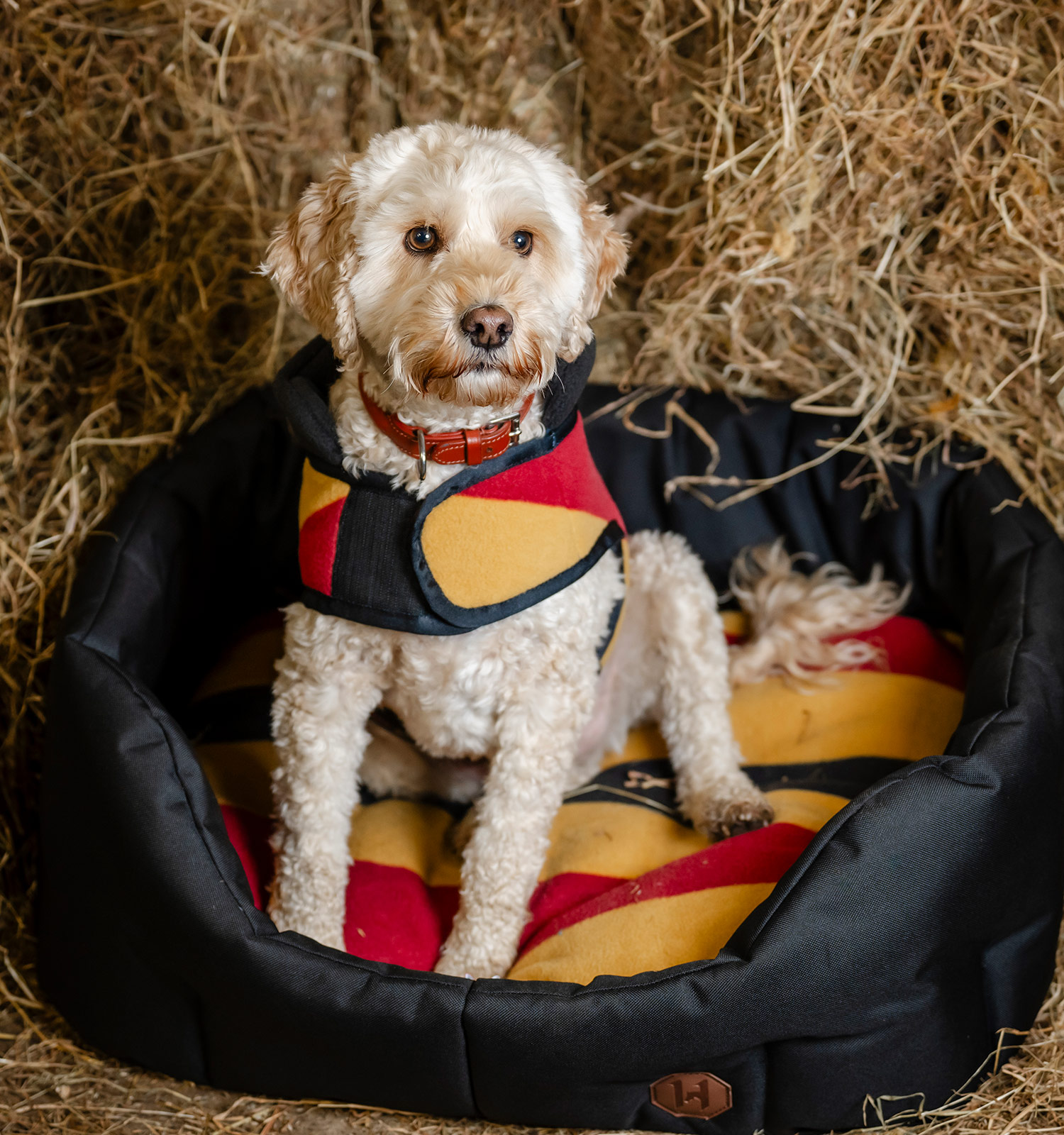 Horseware® Newmarket Dog Bed – Horseware Ireland - US