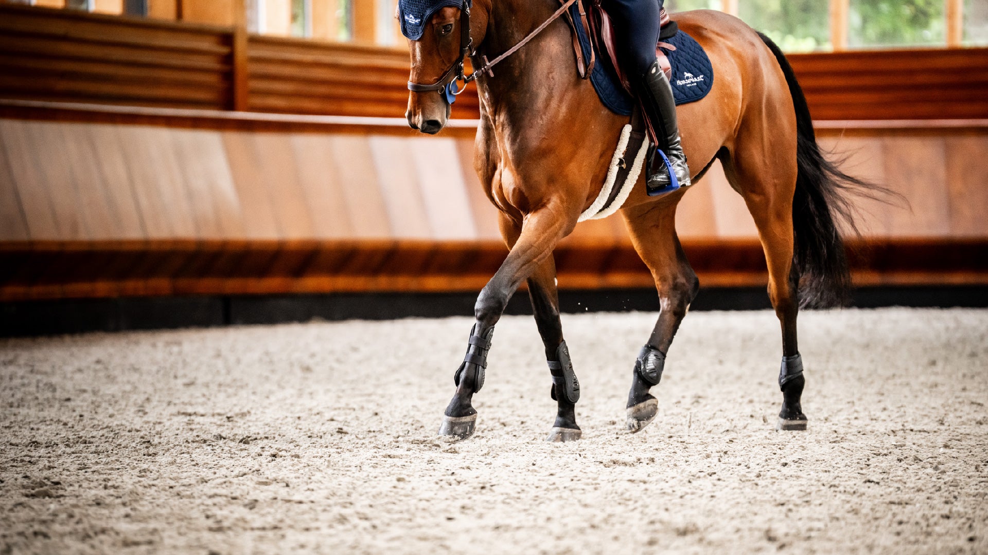Best Boots for Horses: How to Find the Perfect Fit