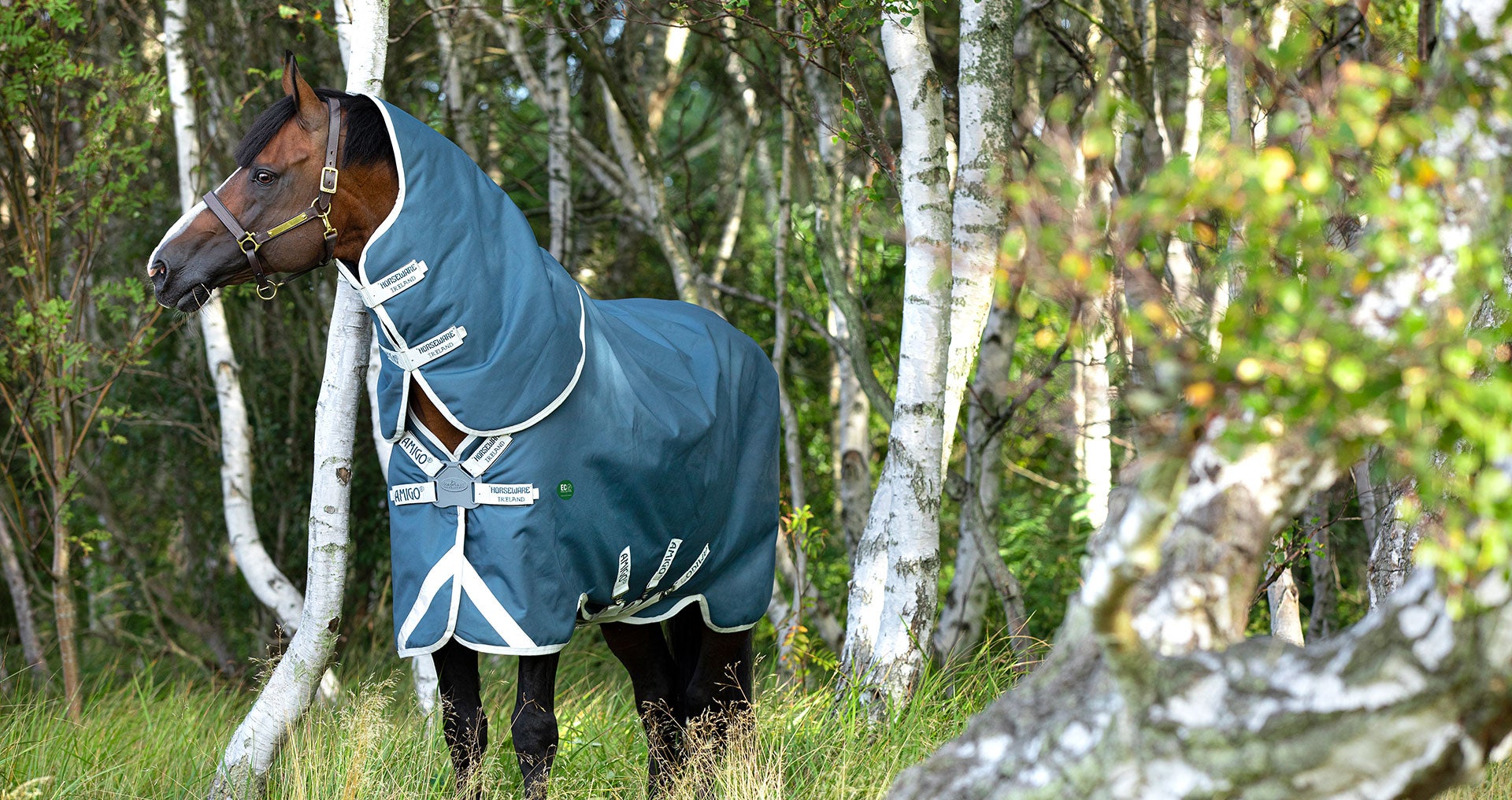 The Amigo® AmEco Range Product Review