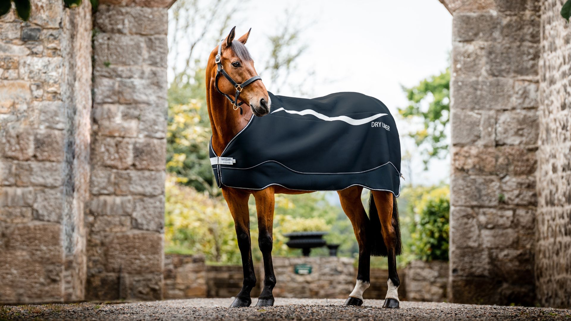 Der Horseware Dry Liner - eine Anleitung