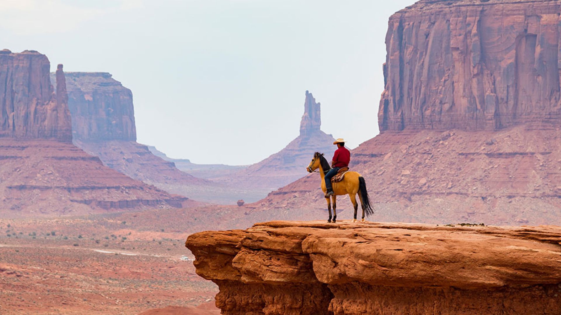Famous Horses in Hollywood: Where are they now?